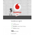 095-220-80-40 Vodafone  Light Plus